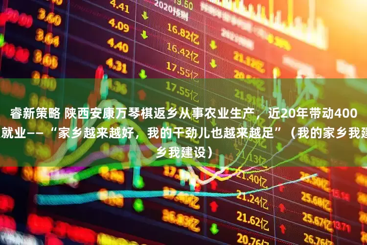 睿新策略 陕西安康万琴棋返乡从事农业生产，近20年带动400余人就业—— “家乡越来越好，我的干劲儿也越来越足”（我的家乡我建设）