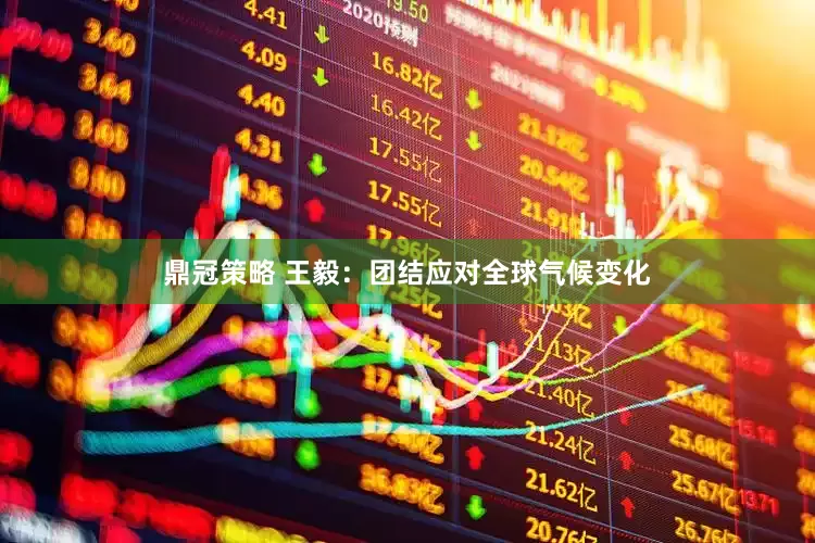 鼎冠策略 王毅：团结应对全球气候变化