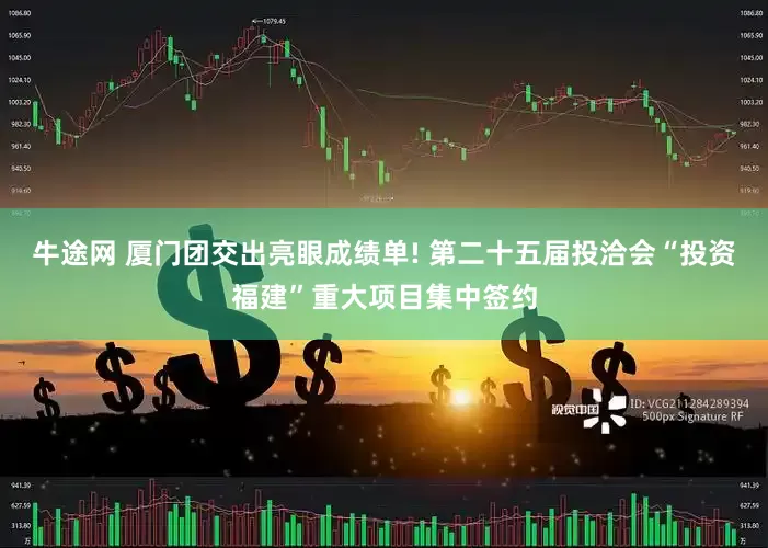 牛途网 厦门团交出亮眼成绩单! 第二十五届投洽会“投资福建”重大项目集中签约