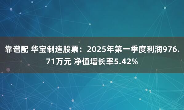 靠谱配 华宝制造股票：2025年第一季度利润976.71万元 净值增长率5.42%