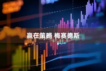 赢在策略 梅赛德斯